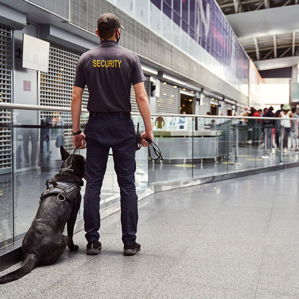 verintegra-plain-clothes Verintegra Okain Clothes Security | Verintegra