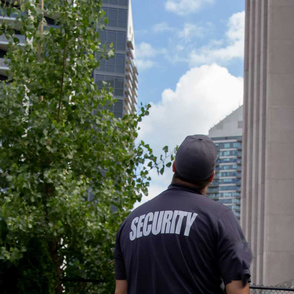 apartment-patrol