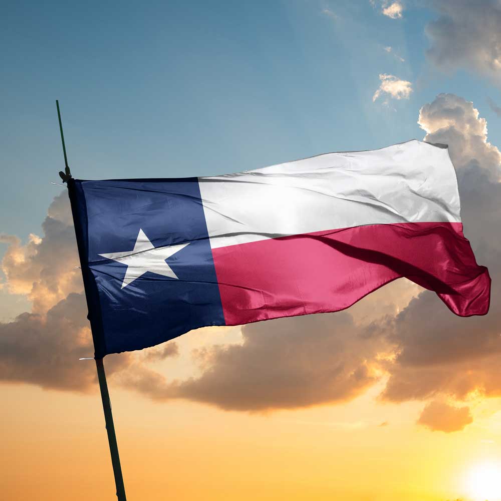 Texas Flag | Verintegra